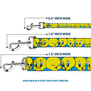 Dog Leash - Tweety Bird CLOSE-UP Expressions Baby Blue