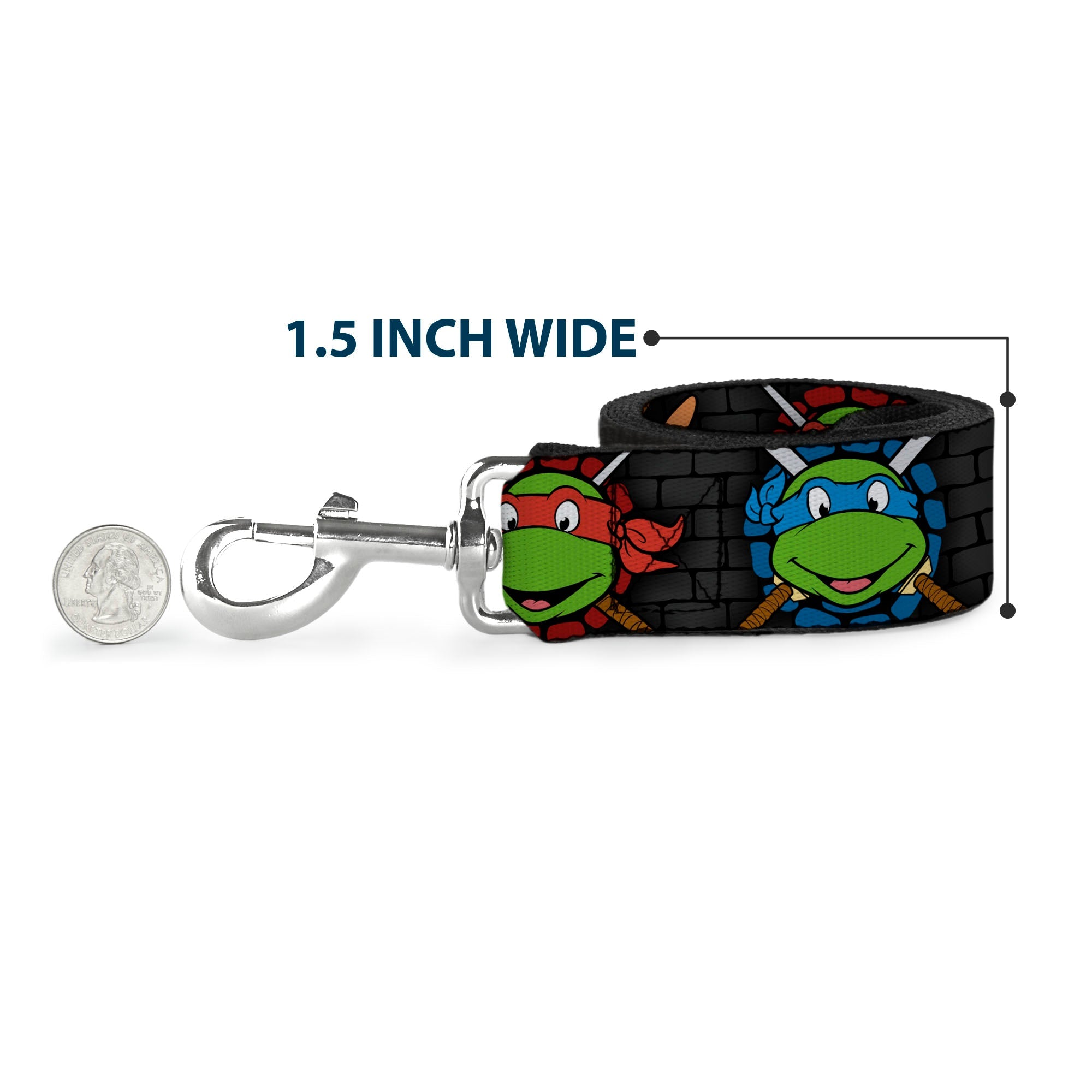 Dog Leash - Classic Teenage Mutant Ninja Turtles Expessions/Battle Gear Gray/Multi Color