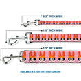 Load image into Gallery viewer, Dog Leash - The Powerpuff Girls Blossom Face Close-Up Pink
