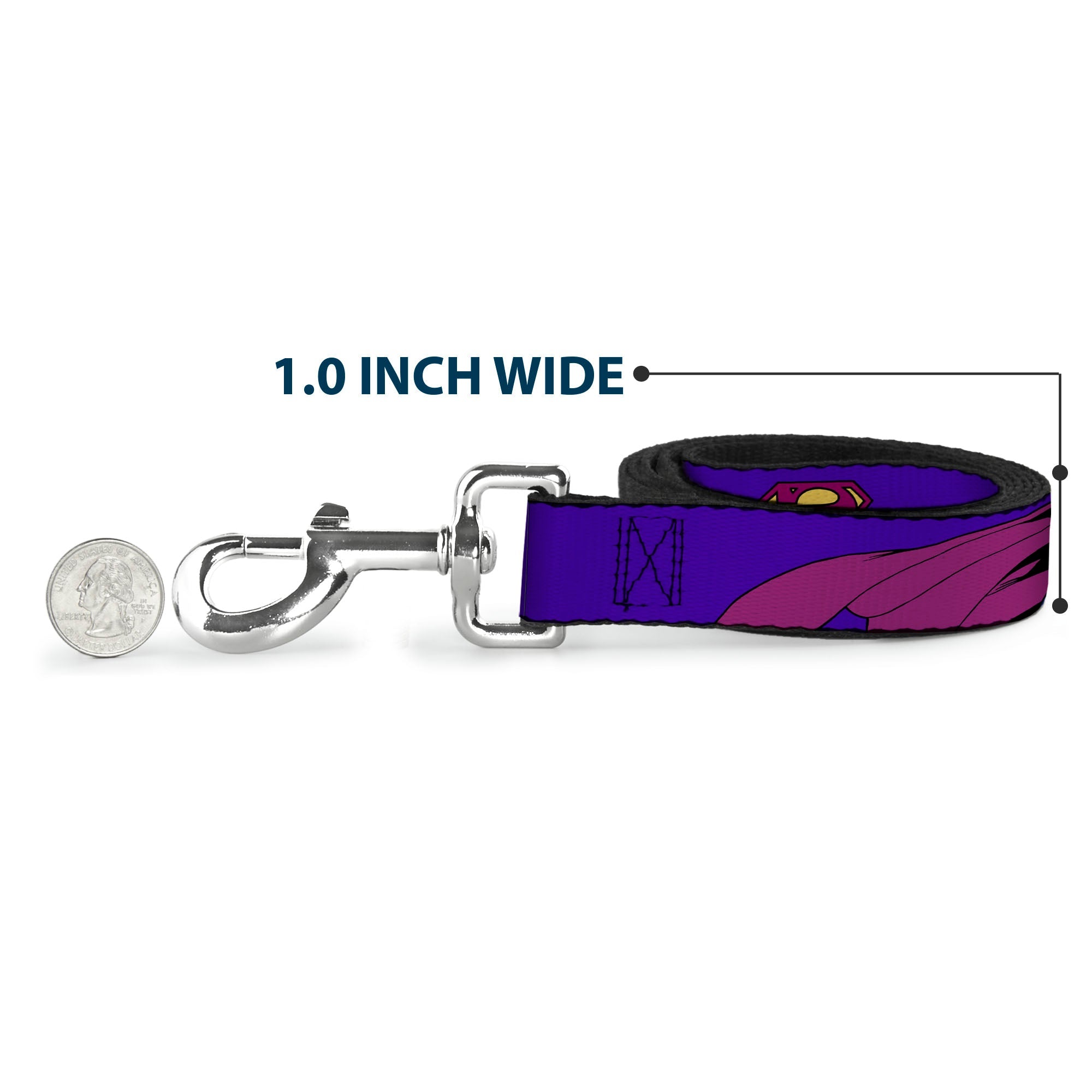 Dog Leash - Bizzaro Logo w/Bizzaro Pose