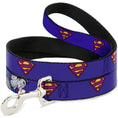 Load image into Gallery viewer, Dog Leash - Bizzaro Logo w/Bizzaro Pose
