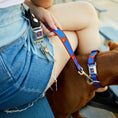 Load image into Gallery viewer, Dog Leash - Superman Shield/Stripe Red/Blue
