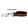 Load image into Gallery viewer, Dog Leash - Star Wars Millennium Falcon Stripe Black/Multi Color
