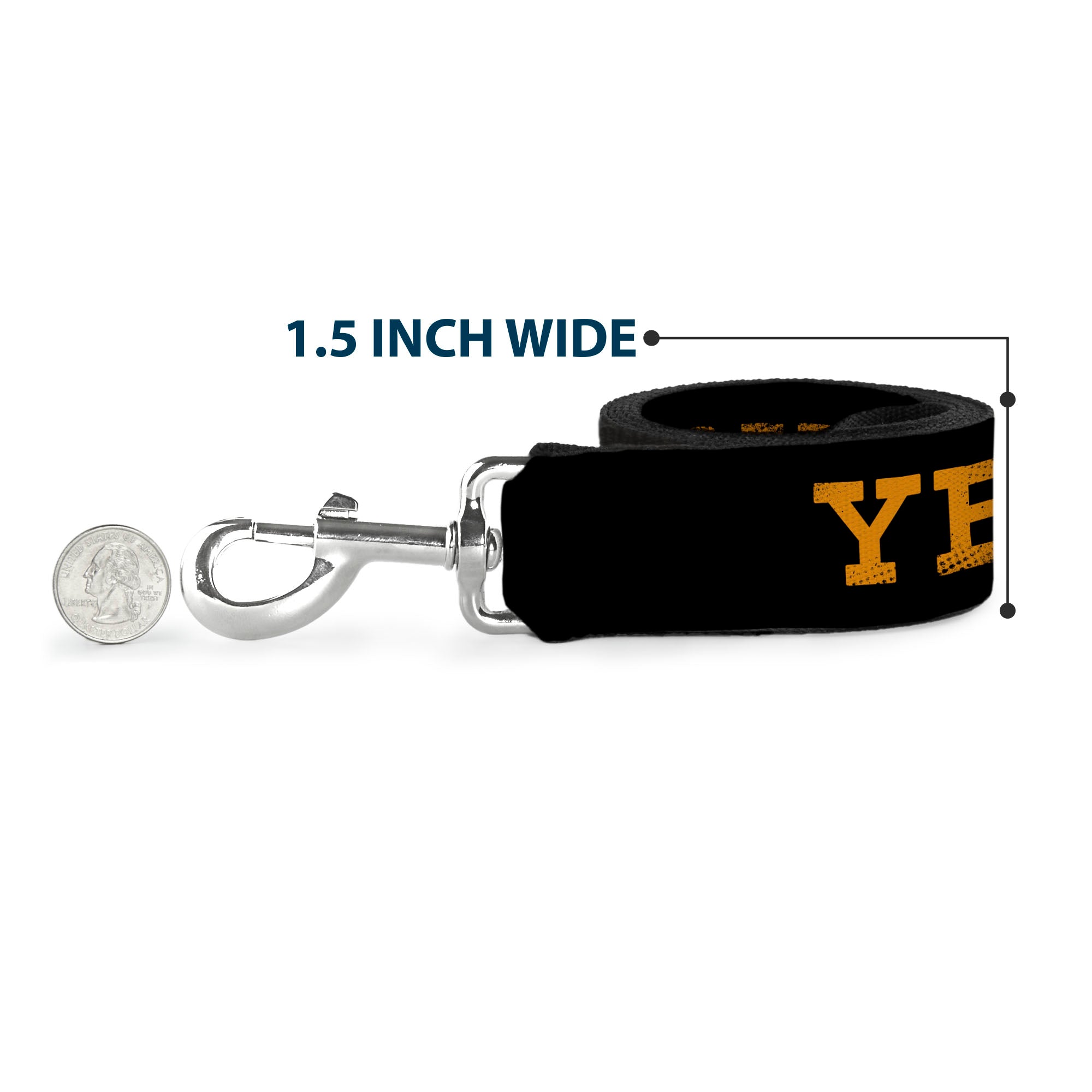 Dog Leash - YELLOWSTONE Text and Y Logo Weathered Black/Orange