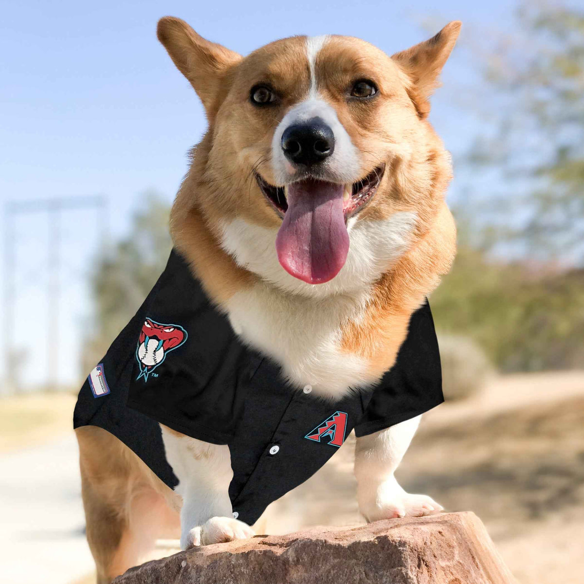 MLB Arizona Diamondbacks Mesh Dog Jersey