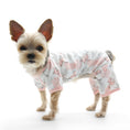 Load image into Gallery viewer, Dogo PJ Piggy
