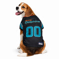 Load image into Gallery viewer, NFL Miami Dolphins Rivalry Dog Jersey

