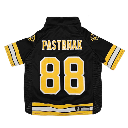 NHL Boston Bruins David Pastrnak Mesh Dog Jersey