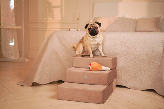 Bed Stairs for Pets - Tetris