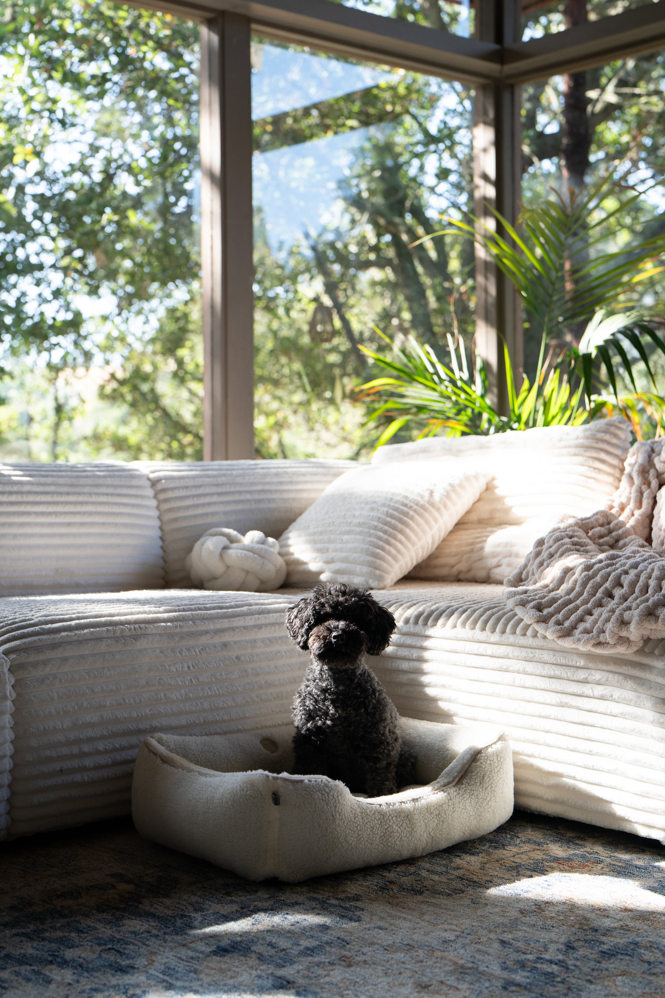 Bolster Beds Premium Chester & Lee | Furry Sleeper Dog Bed Beige