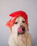 Load image into Gallery viewer, Pet Toy - Lobster Sebastian - Southlake Paws
