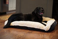 Load image into Gallery viewer, Scout Perfect Bolster Dog Bed - image 16
