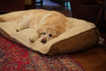 Load image into Gallery viewer, Scout Perfect Bolster Dog Bed - image 14
