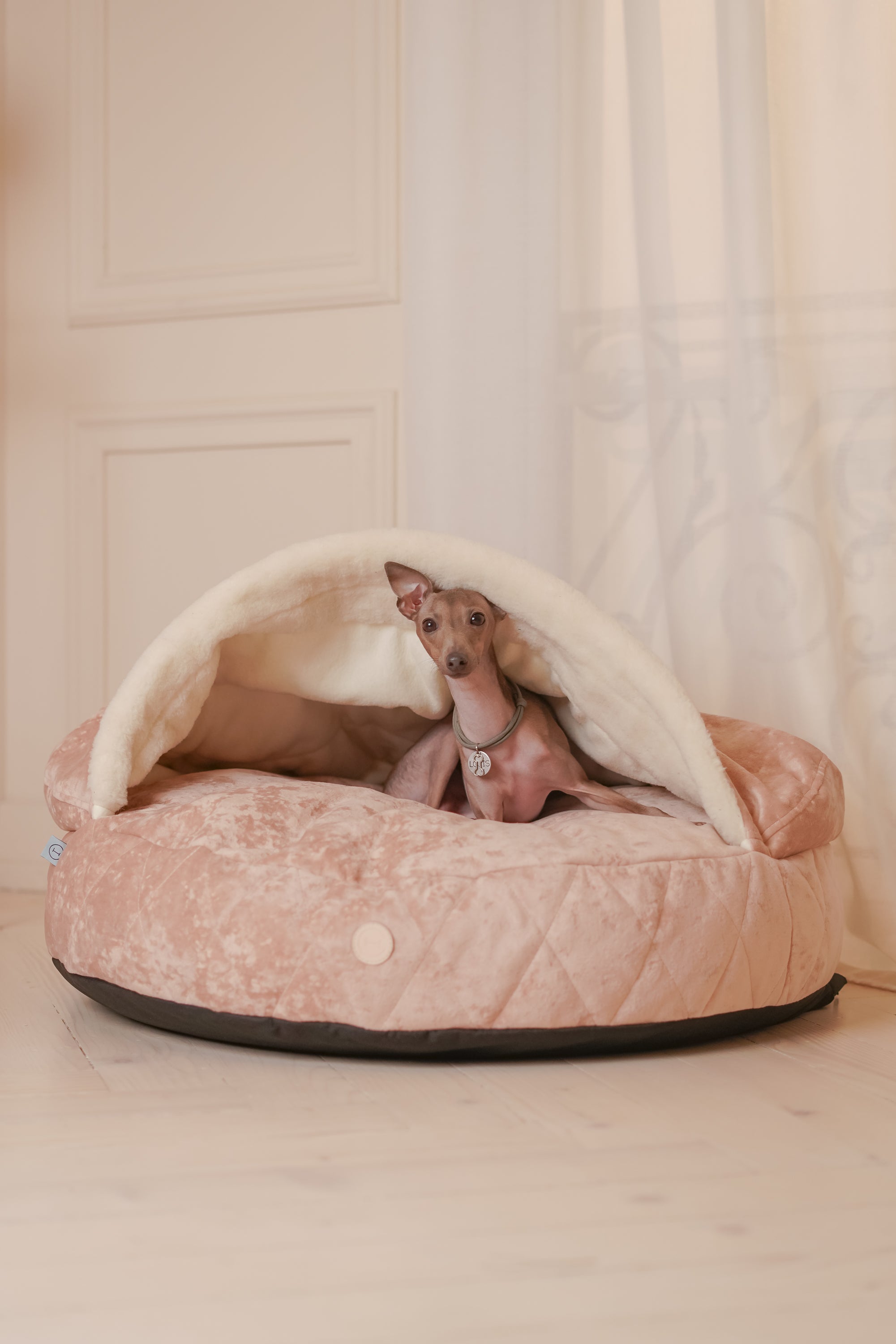 Cover Dog Bed - Southlake Paws