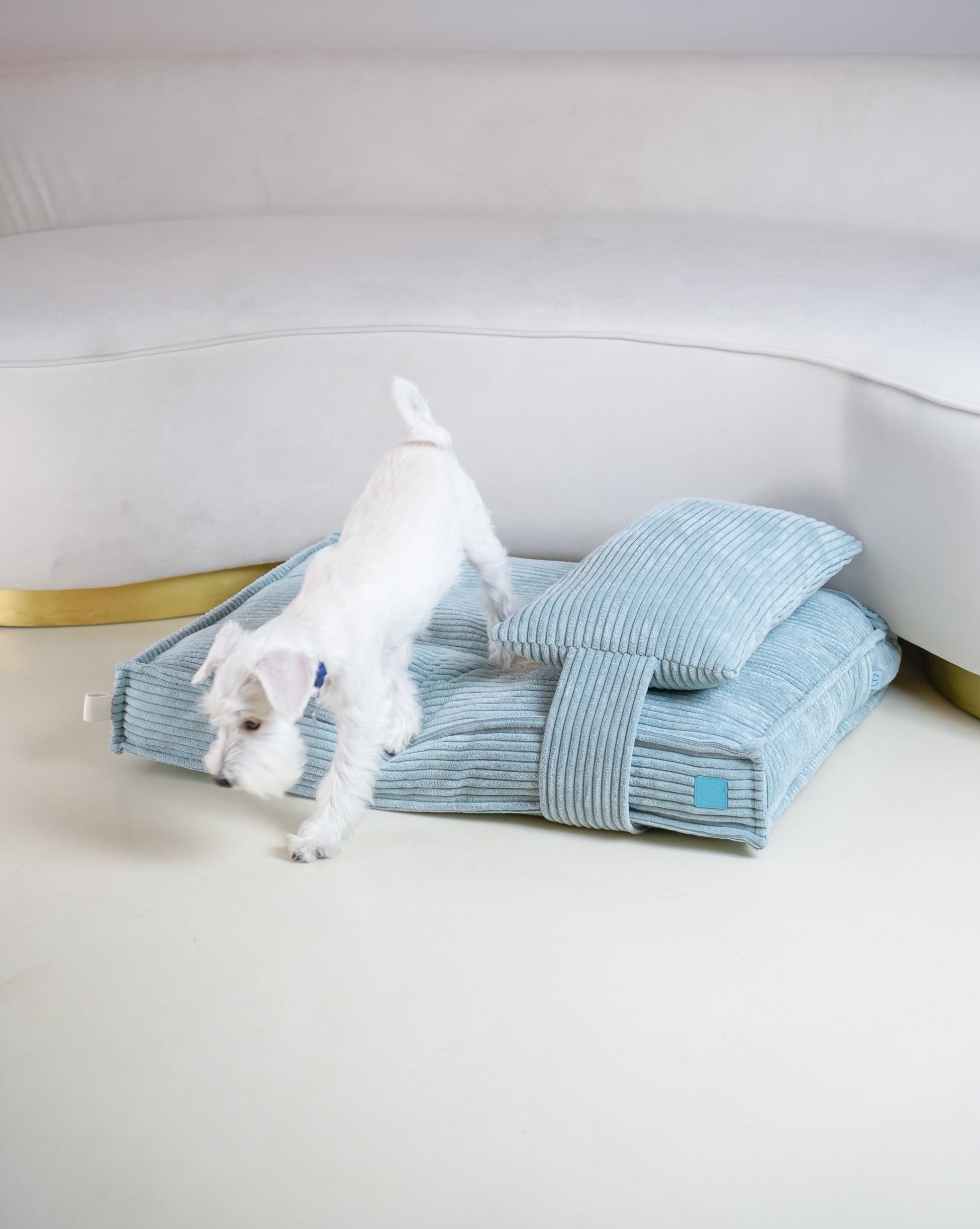 Memory Foam Dog Bed - Southlake Paws