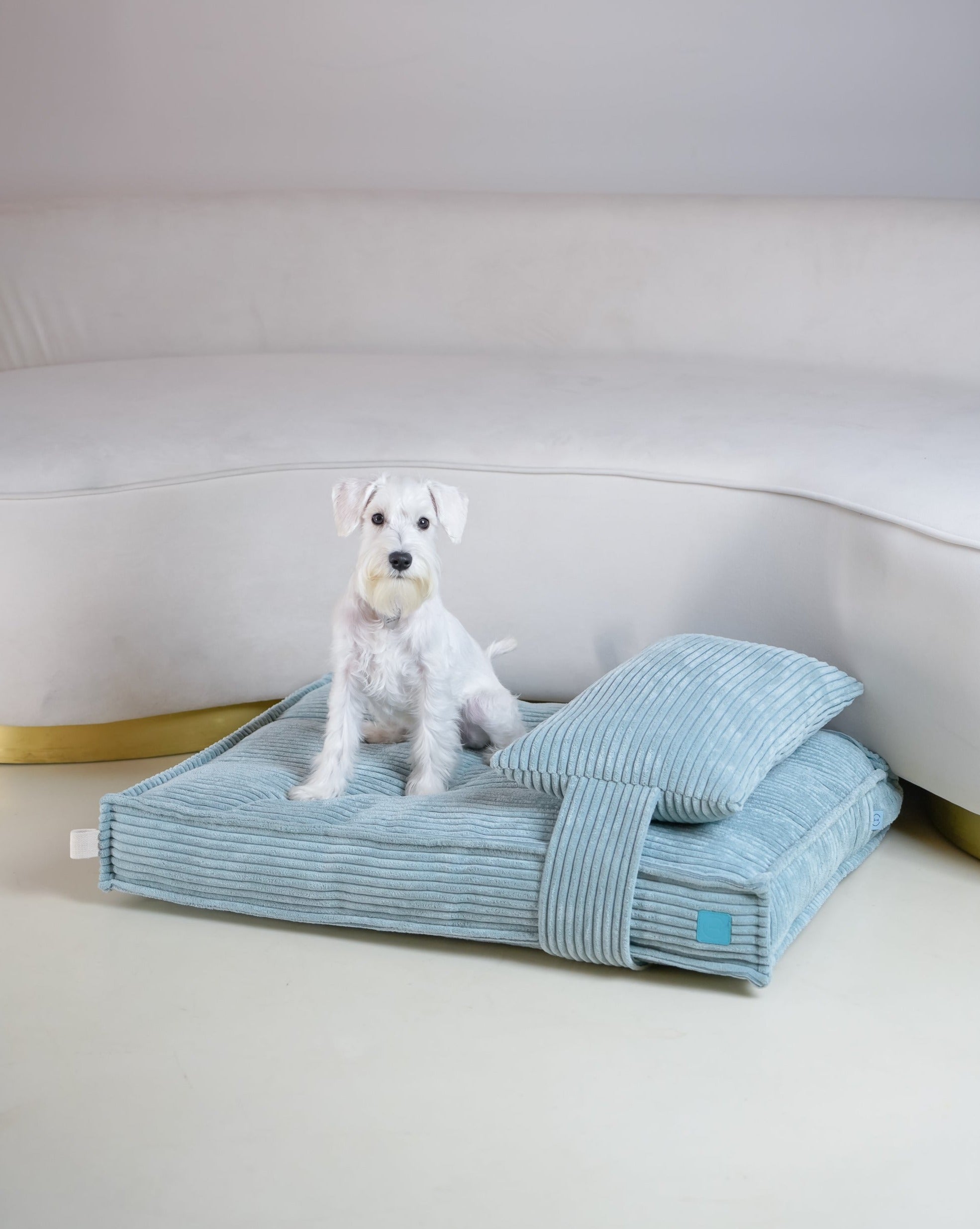 Memory Foam Dog Bed - Southlake Paws