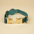 Load image into Gallery viewer, Stylish Leather AirTag Dog Collar - Turquoise - Davie
