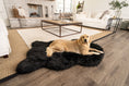 Load image into Gallery viewer, PupRug Faux Fur Orthopedic Dog Bed - Curve Midnight Black
