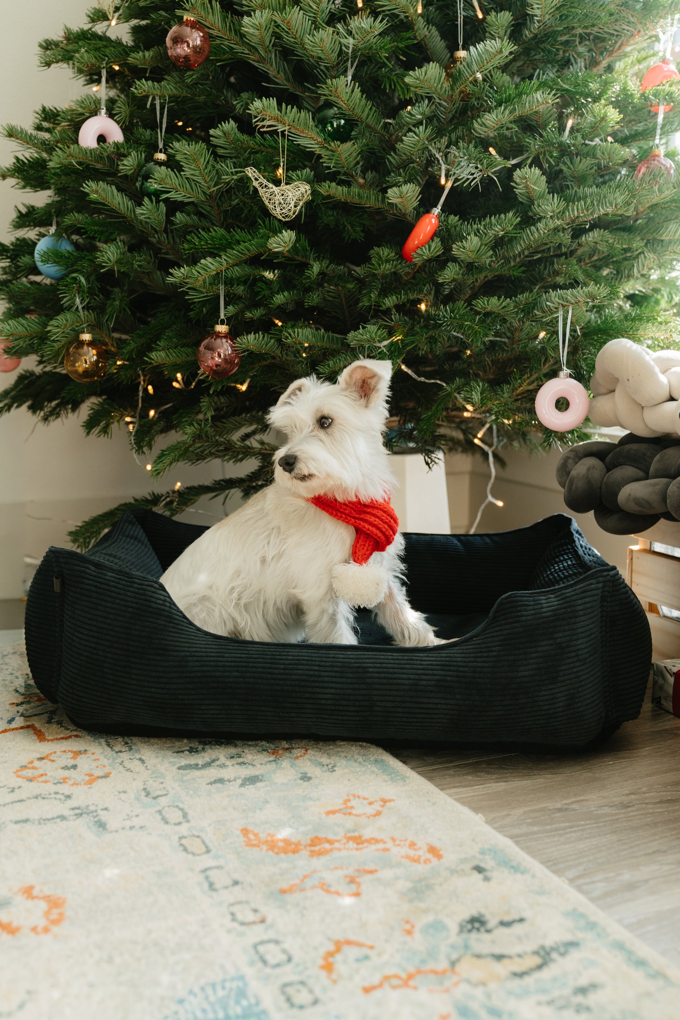 Chester & Lee | Fancy Corduroy Sleeper Dog Bed Graphite - image 4