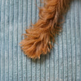 Load image into Gallery viewer, Memory Foam Dog Bed - Southlake Paws
