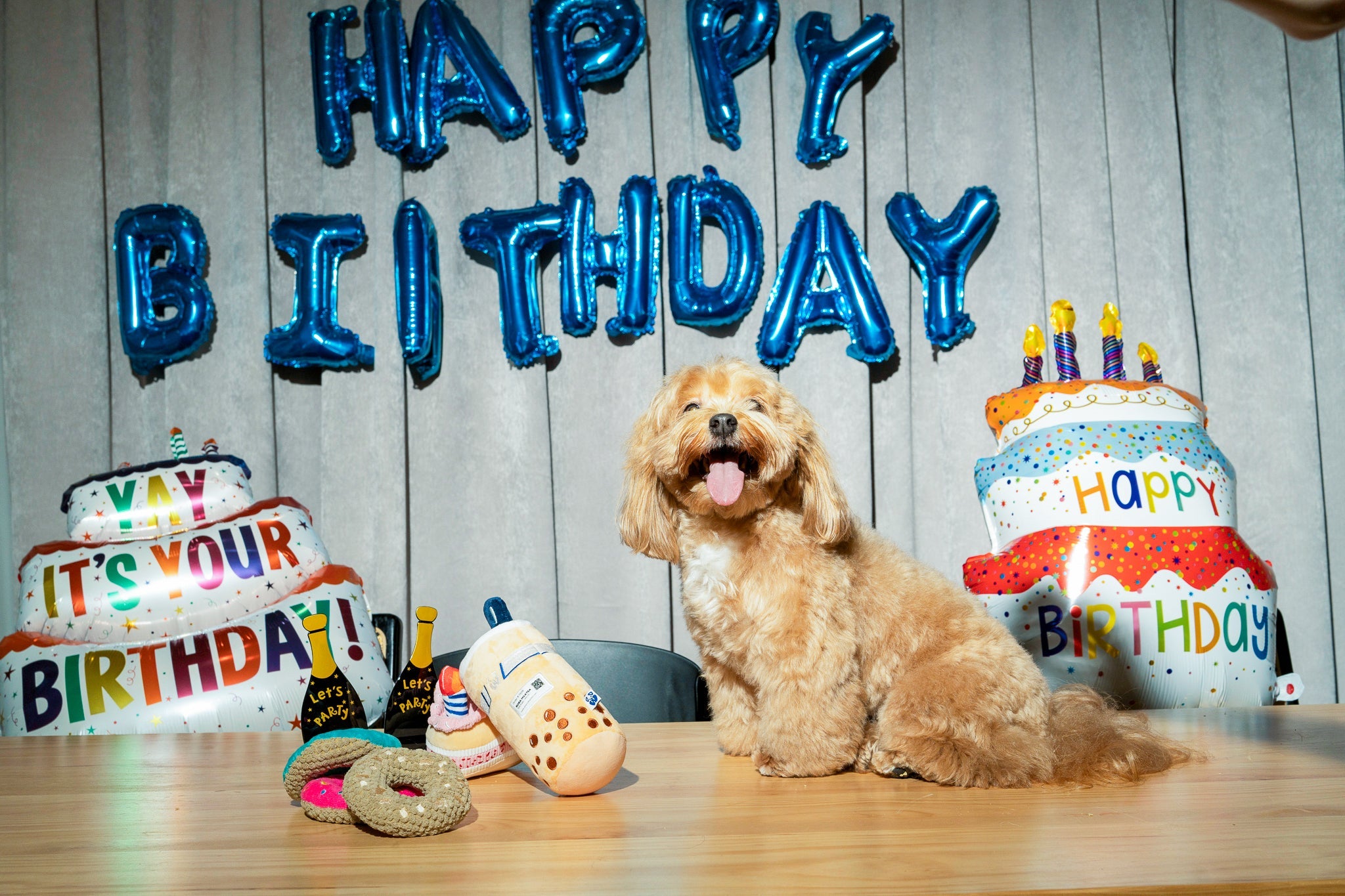 BIRTHDAY BONE - Southlake Paws