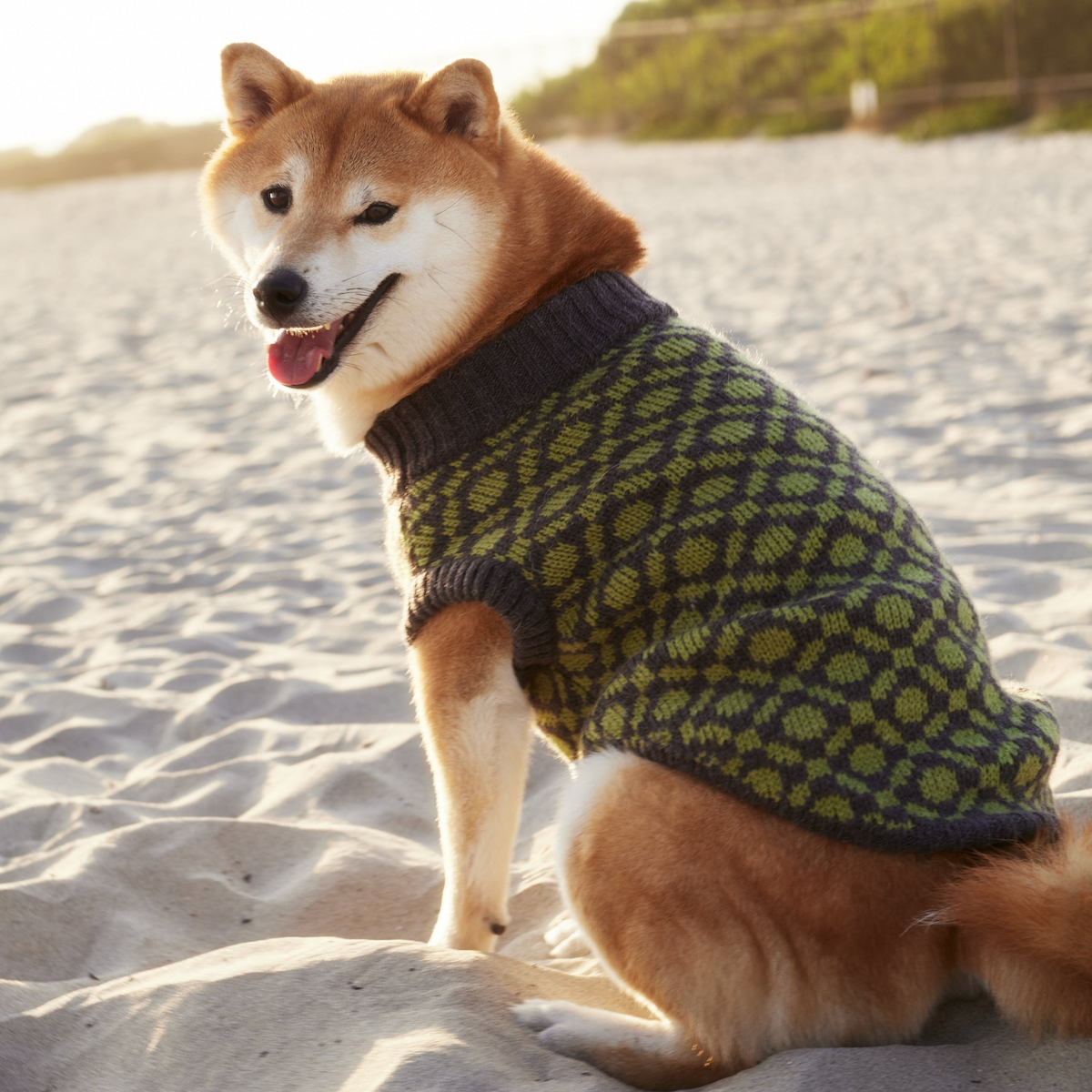 The Matcha | Olive Green Ribbed Knit Dog Sweater