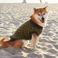 Load image into Gallery viewer, The Matcha | Olive Green Ribbed Knit Dog Sweater
