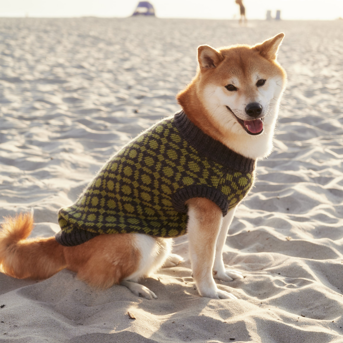 The Matcha | Olive Green Ribbed Knit Dog Sweater