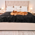 Load image into Gallery viewer, PupProtector™ Short Fur Waterproof Throw Blanket - Midnight Black
