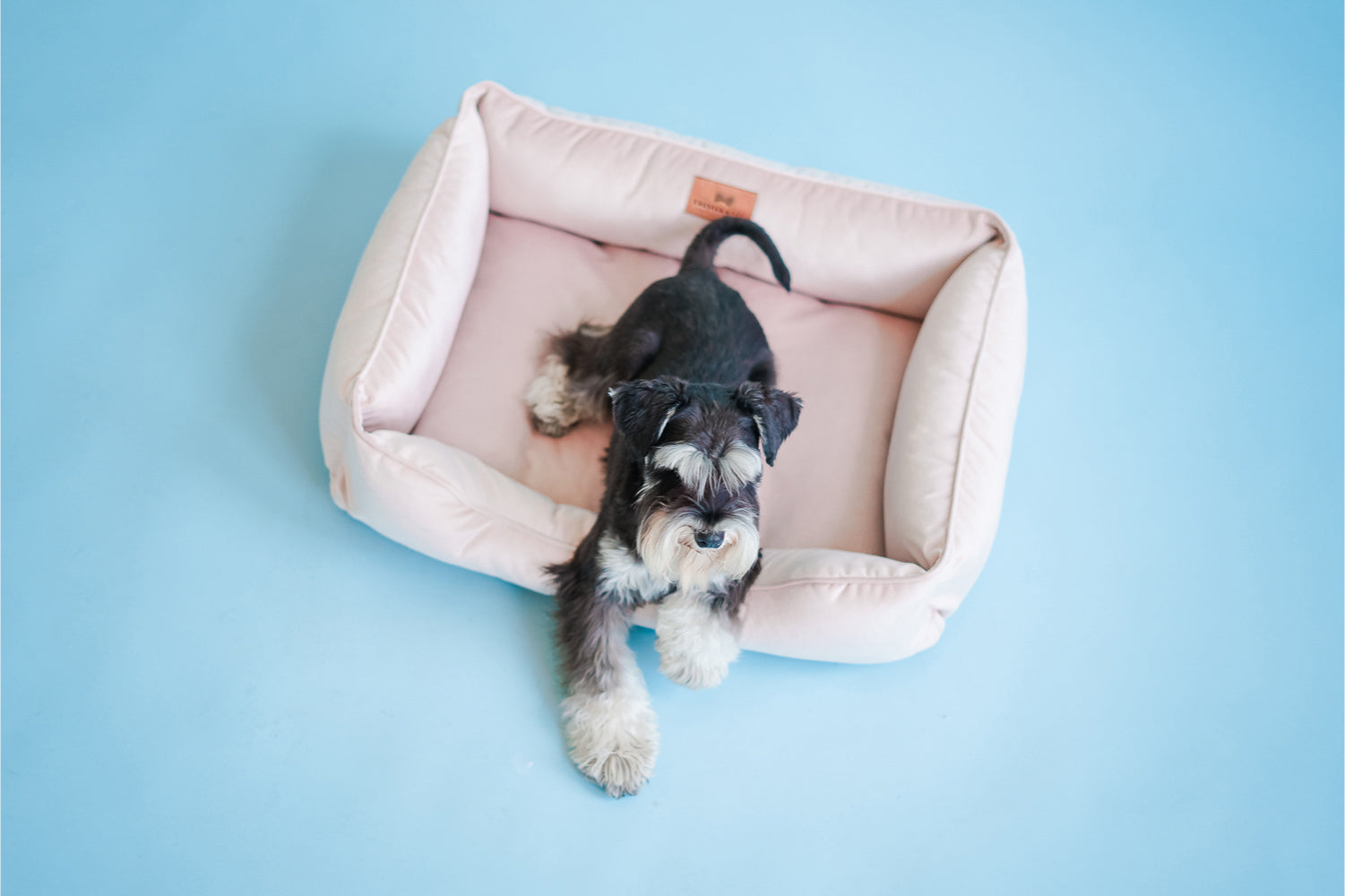 Chester & Lee | Vibrant Velvet Sleeper Dog Bed Nude Pink