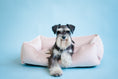 Load image into Gallery viewer, Velvet Dog Bed Dreamer - Southlake Paws
