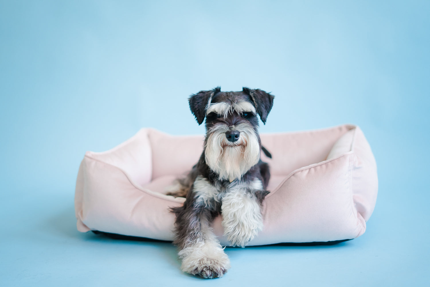 Velvet Dog Bed Dreamer - Southlake Paws