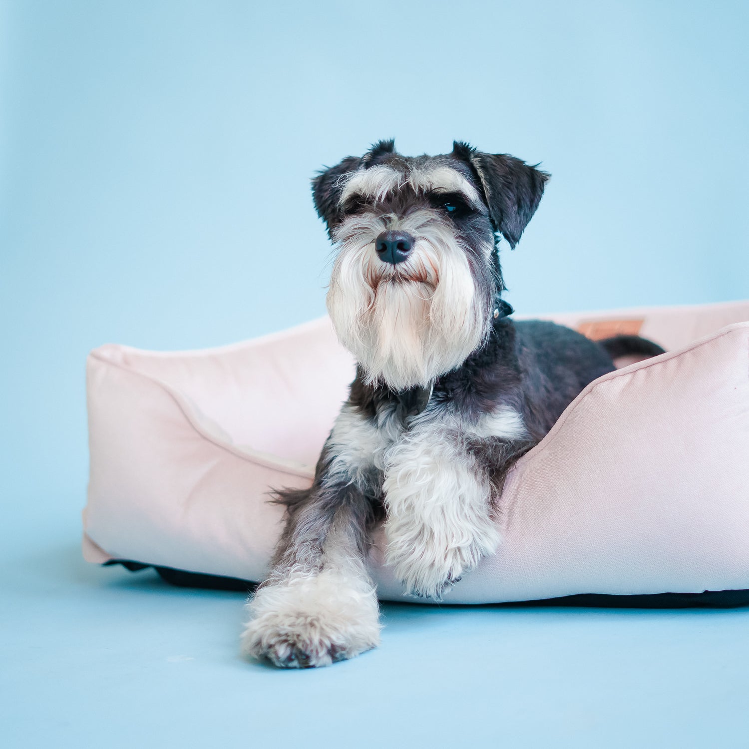 Velvet Dog Bed Dreamer - Southlake Paws