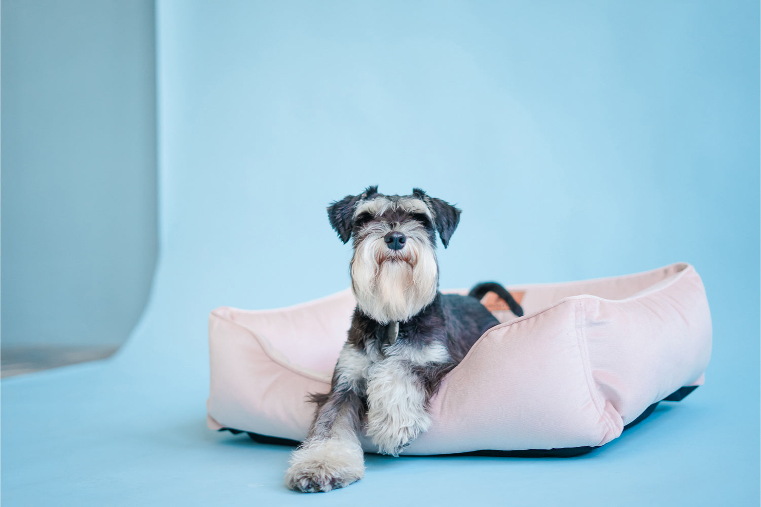 Chester & Lee | Vibrant Velvet Sleeper Dog Bed Nude Pink