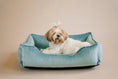 Load image into Gallery viewer, Bolster Beds Premium Chester & Lee | Vibrant Velvet Sleeper Dog Bed Tiffany
