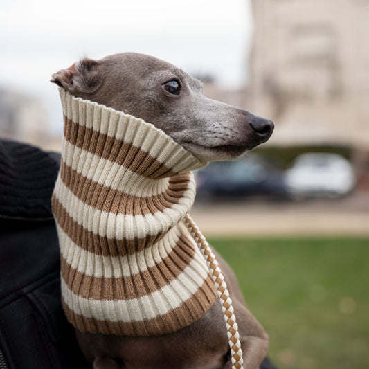Cashmere and wool dog neck warmer in white and camel stripes
