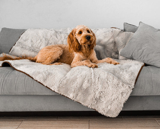 PupProtector™ Short Fur Waterproof Throw Blanket - Grey - Southlake Paws