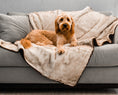 Load image into Gallery viewer, PupProtector™ Short Fur Waterproof Throw Blanket - White with Brown Accents
