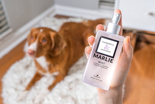 Marlie Mist Pet Odor Eliminator Spray with Essential Oils - Southlake Paws