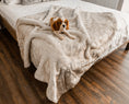 Load image into Gallery viewer, PupProtector™ Short Fur Waterproof Throw Blanket - White with Brown Accents - Southlake Paws
