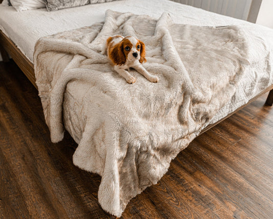 PupProtector™ Short Fur Waterproof Throw Blanket - White with Brown Accents - Southlake Paws