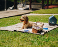 Load image into Gallery viewer, PupProtector™ Short Fur Waterproof Throw Blanket - White with Brown Accents
