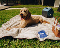Load image into Gallery viewer, PupProtector™ Short Fur Waterproof Throw Blanket - White with Brown Accents
