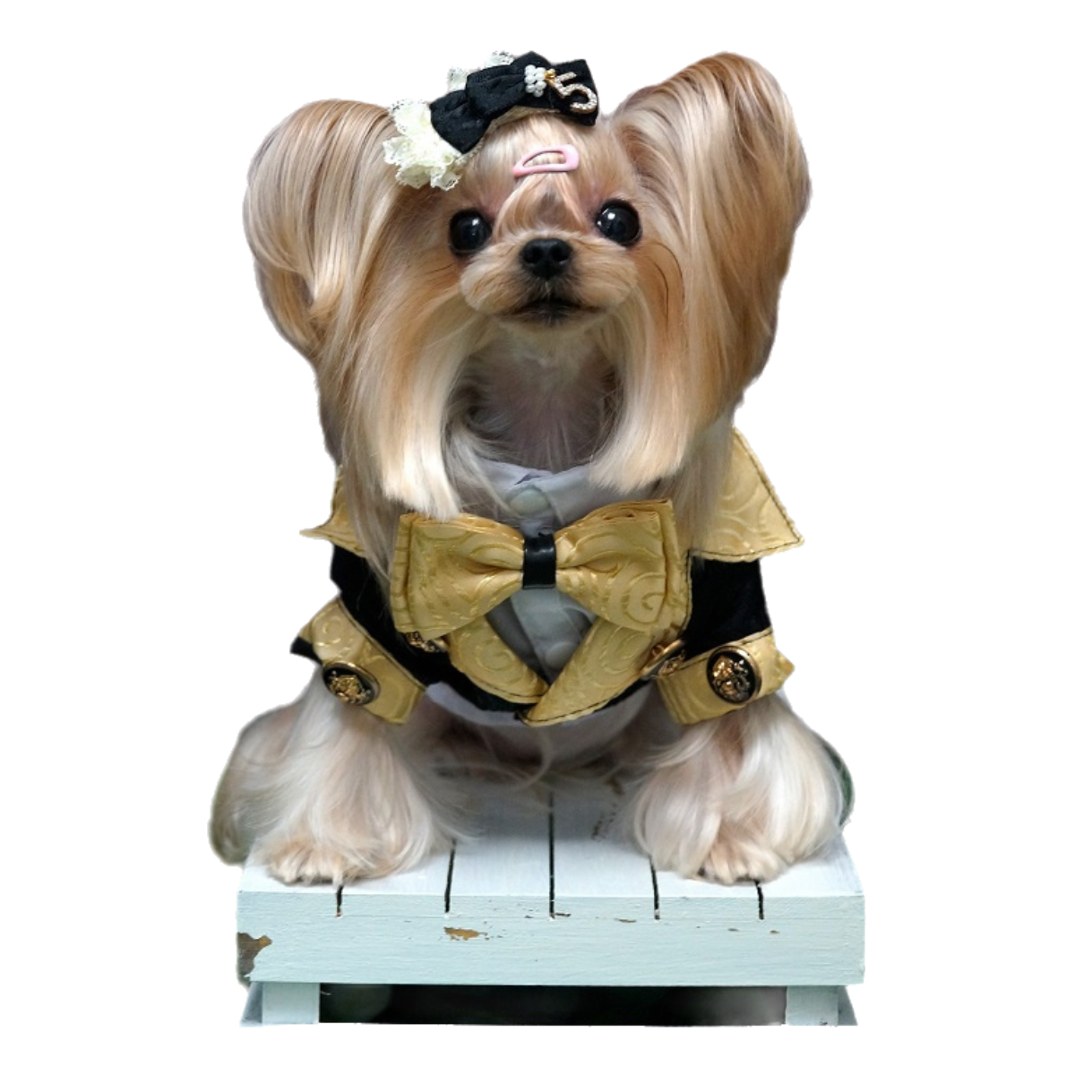 Royal Pup Couture Dog Suit Pet Tuxedo+Shirt 
