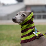 Cashmere and wool dog neck warmer in red and green stripes