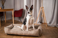 Load image into Gallery viewer, Corduroy Dog Bed Dreamer - Southlake Paws
