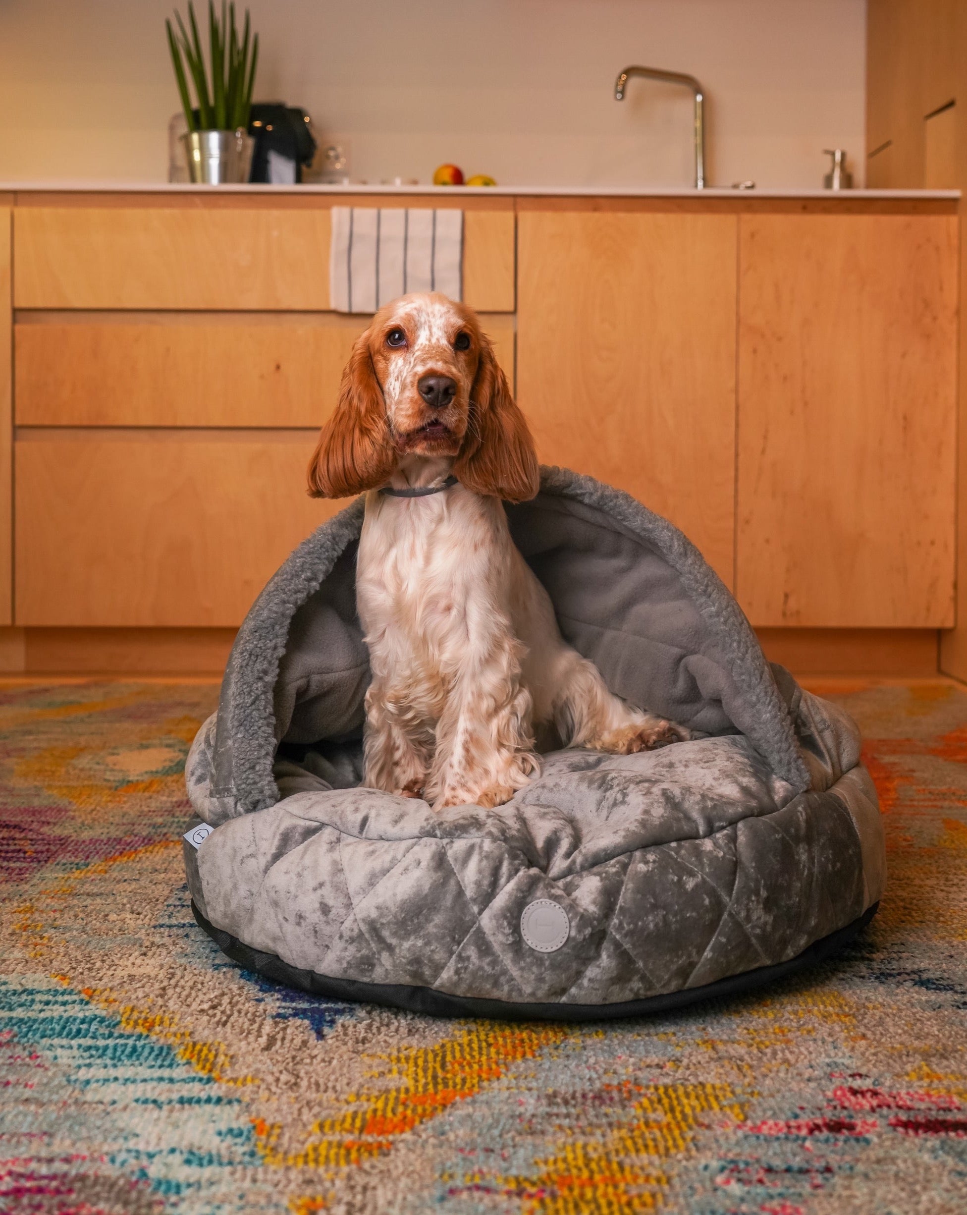 Cover Dog Bed - Southlake Paws
