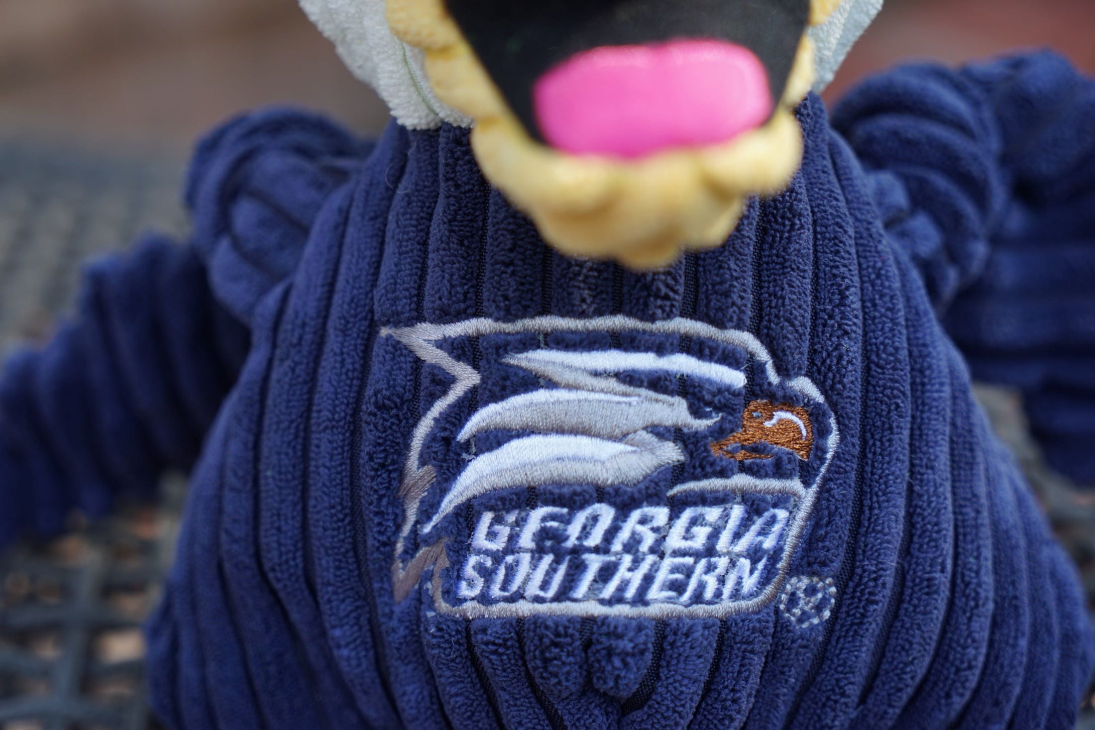 NCAA Georgia Southern University, Gus the Eagle Knottie® Plush Dog Toy - image 6