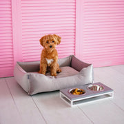 Velvet Dog Bed Dreamer