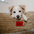 Load image into Gallery viewer, 40 Inch Forever Dog Bed (Waterproof) - Terry Corduroy
